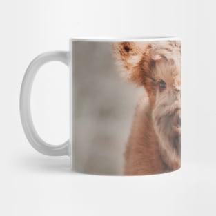 Scottish Highland Cow Baby Calf Mug